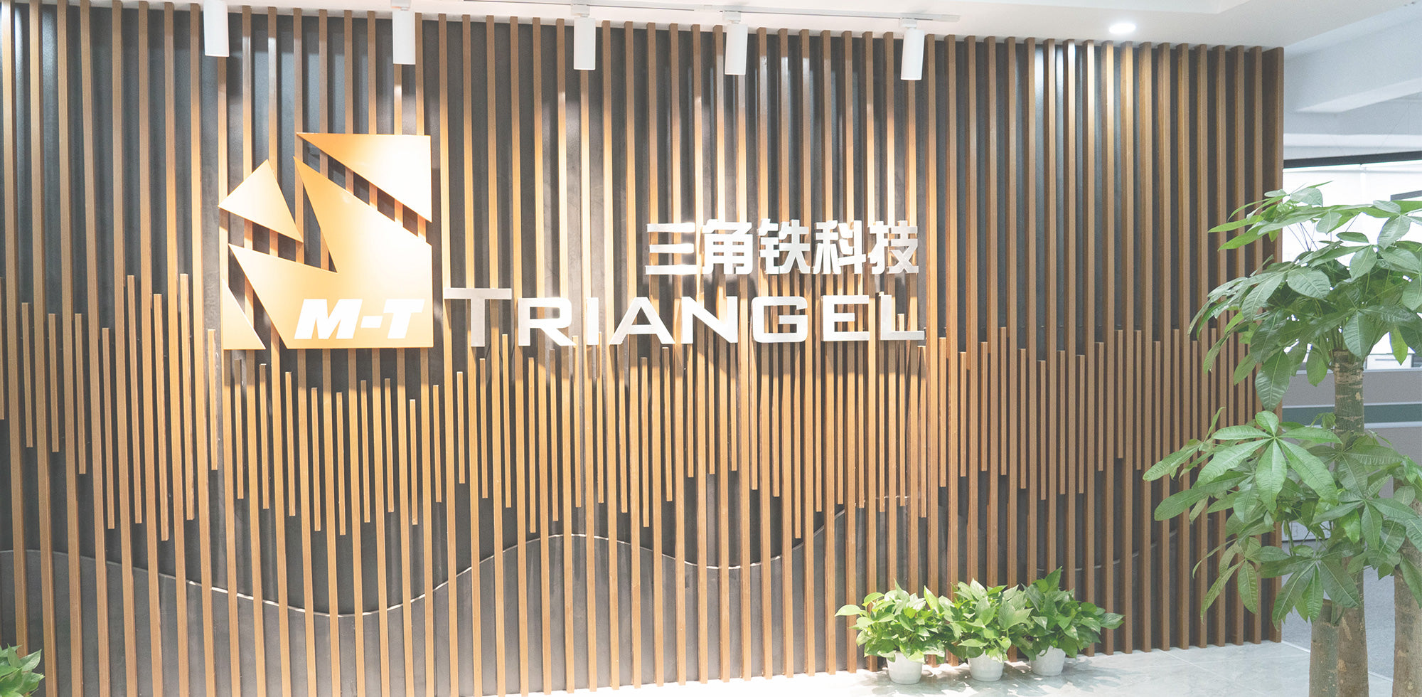 M-Triangel Company Background